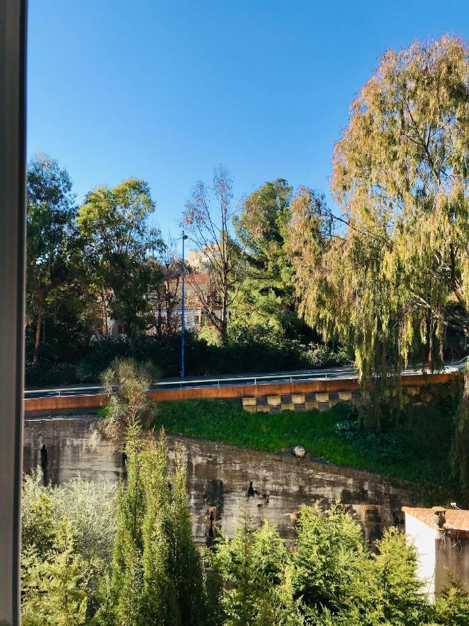Appartement Paloma Proche Cannes Le Cannet Bagian luar foto